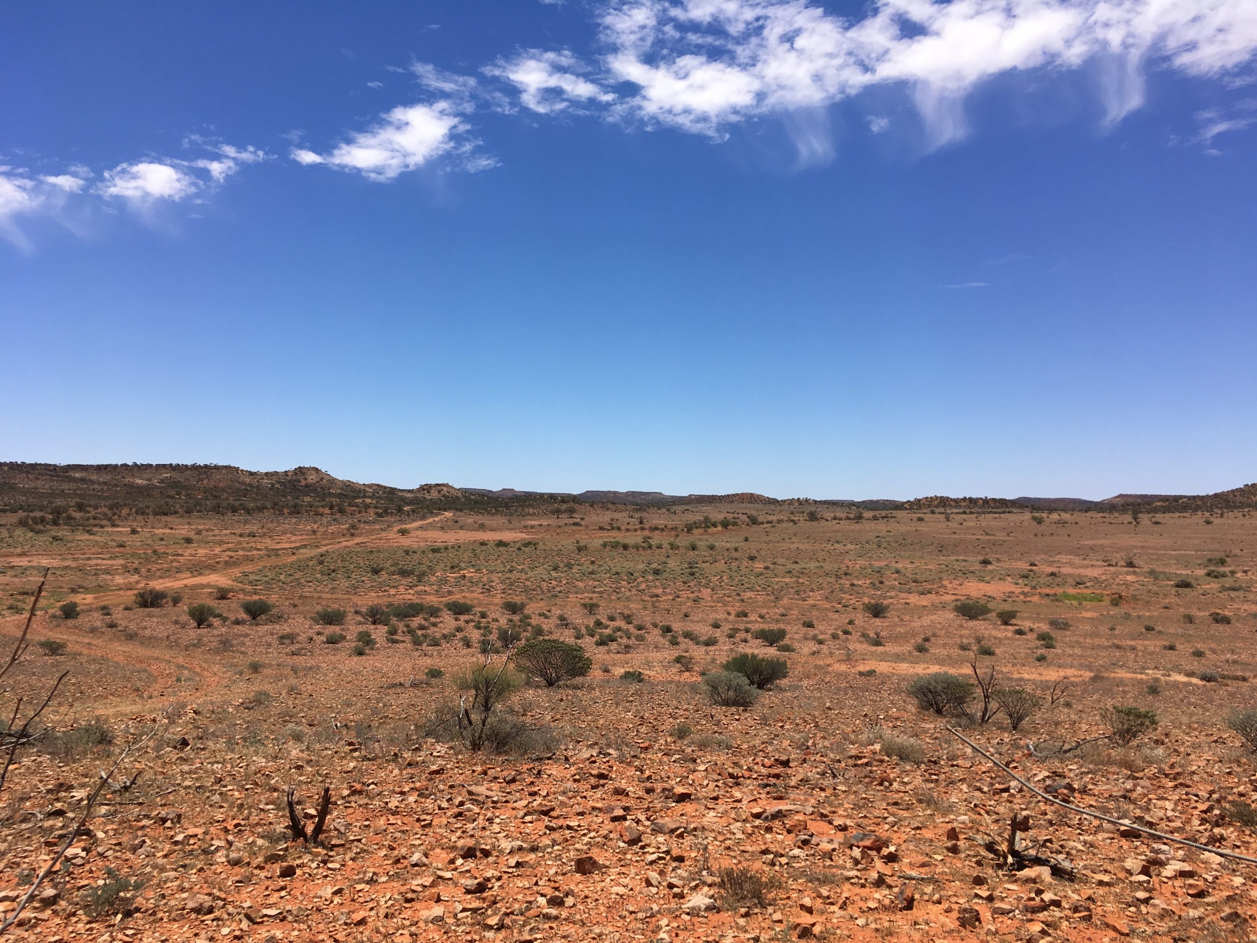 Outback scene of big blue sky with red stony plains and scattered shrubs